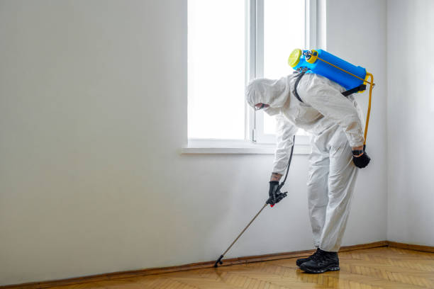 Pest Control for Restaurants in Columbia, MD