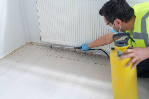 Best Flea Control Services  in Columbia, MD